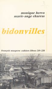 Bidonvilles : l