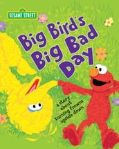 Big Bird s Big Bad Day