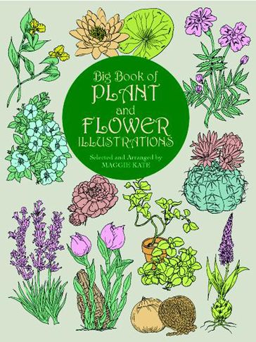 Big Book of Plant and Flower Illustrations - Maggie Kate