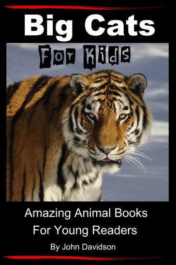 Big Cats: For Kids - Amazing Animal Books for Young Readers - John Davidson