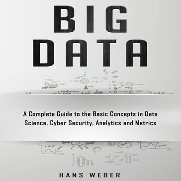 Big Data - Hans Weber