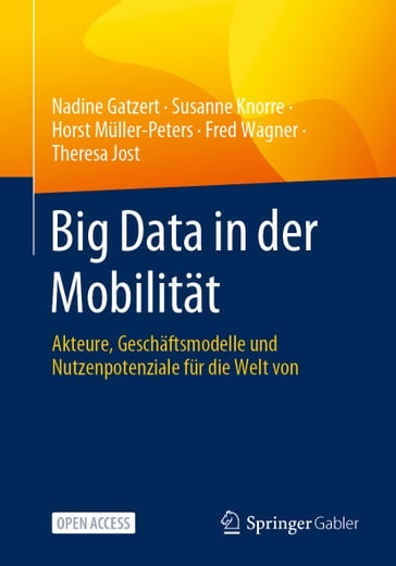Big Data in der Mobilität - Nadine Gatzert - Susanne Knorre - Horst Muller-Peters - Fred Wagner - Theresa Jost