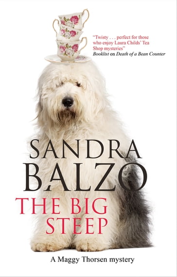 Big Steep, The - Sandra Balzo Balzo