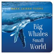 Big Whales, Small World