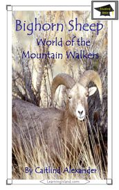 Bighorn Sheep: World of the Mountain Walkers: Educational Version
