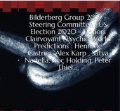 Bilderberg Group 2019  Steering Committee , US Election 2020  Donors Clairvoyant /Psychic World Predictions : Henri de Castries, Alex Karp , Satya Nadella, Koç Holding, Peter Thiel.