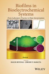 Biofilms in Bioelectrochemical Systems