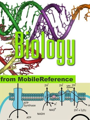 Biology Study Guide: Prokaryotes, Archaea, Eukaryotes, Viruses, Reproduction, Mendelian Genetics, Molecular Biology, Cell Signaling, Human Anatomy, Chemical Review (Mobi Study Guides) - MobileReference