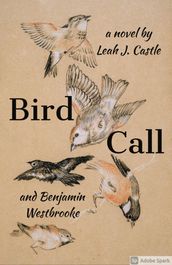 Bird Call (When Birds Make Art)