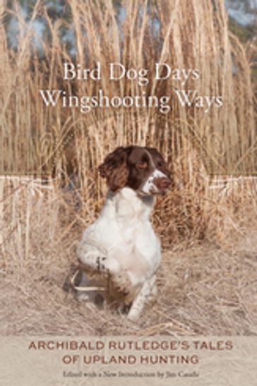 Bird Dog Days, Wingshooting Ways - Archibald Rutledge