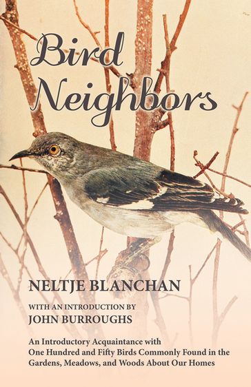 Bird Neighbors - An Introductory Acquaintance with One Hundred and Fifty Birds Commonly Found in the Gardens, Meadows, and Woods About Our Homes - John Burroughs - Neltje Blanchan