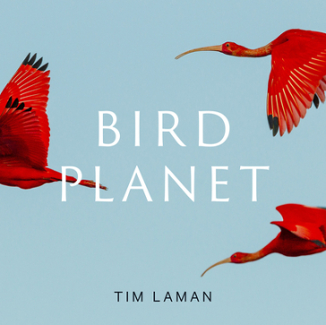 Bird Planet - Tim Laman