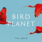 Bird Planet