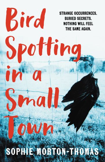 Bird Spotting in a Small Town - Sophie Morton-Thomas