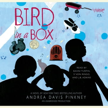 Bird in a Box - Andrea Davis Pinkney