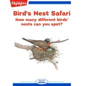 Bird s Nest Safari