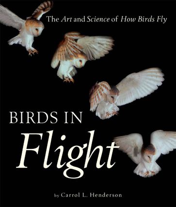 Birds in Flight: The Art and Science of How Birds Fly - Carrol L. Henderson - Steve Adams