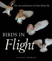 Birds in Flight: The Art and Science of How Birds Fly
