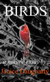 Birds in Migration: a descriptive nature essay