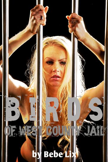 Birds Of West County Jail (Interracial Group Lesbian Erotica) - Bebe Lix