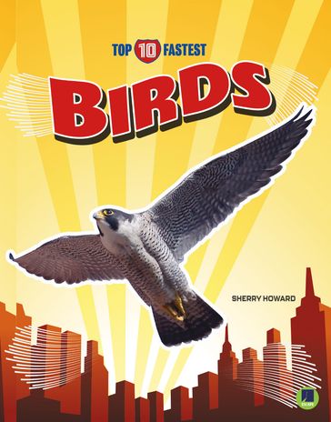 Birds - Sherry Howard