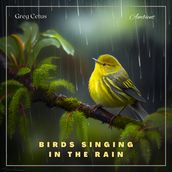 Birds Singing In The Rain