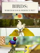 Birds: Which is Your Perfect Pet?