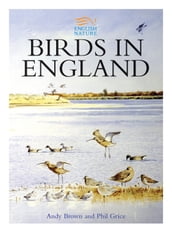 Birds in England
