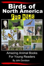 Birds of North America For Kids: Amazing Animal Books for Young Readers