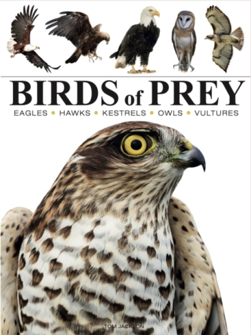 Birds of Prey - Tom Jackson
