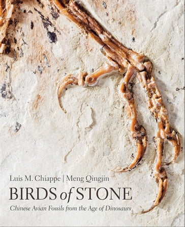 Birds of Stone - Luis M. Chiappe - Meng Qingjin