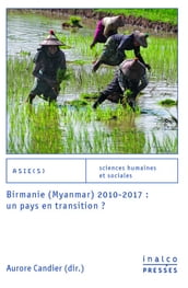 Birmanie (Myanmar) 2010-2017: un pays en transition?