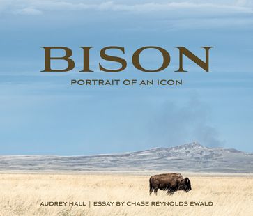 Bison - Audrey Hall - Chase Reynolds Ewald