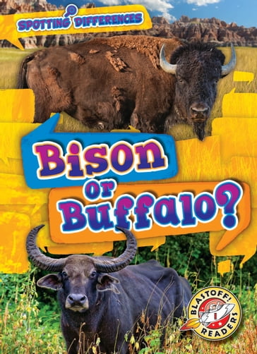 Bison or Buffalo? - Mari Schuh