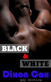 Black And White: 3 Gay Interracial Erotic Short Stories