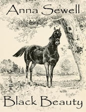 Black Beauty (Illustrated)