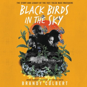 Black Birds in the Sky - Brandy Colbert