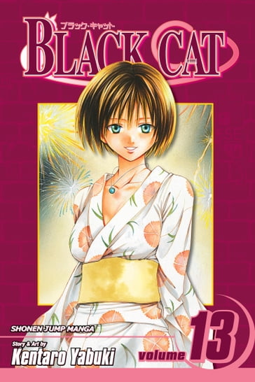 Black Cat, Vol. 13 - Kentaro Yabuki