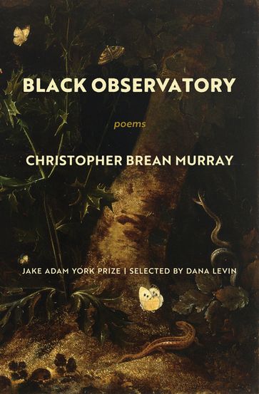 Black Observatory - Christopher Brean Murray