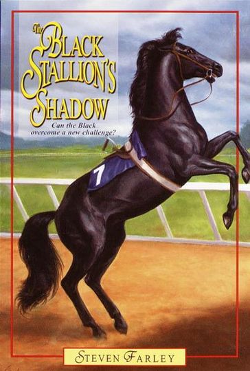 Black Stallion's Shadow - Steven Farley