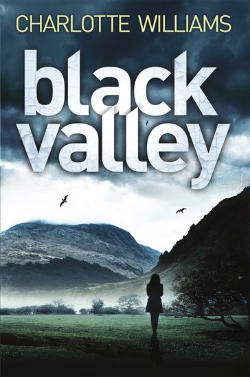 Black Valley - Charlotte Williams