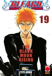 Bleach 19