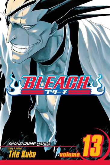 Bleach, Vol. 13 - Tite Kubo