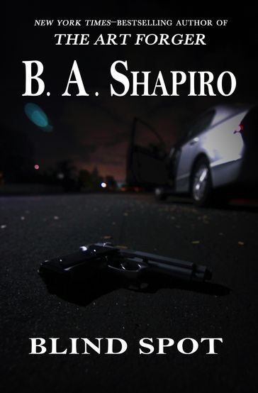 Blind Spot - B. A. Shapiro