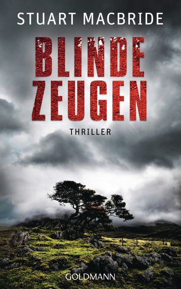 Blinde Zeugen - Stuart MacBride