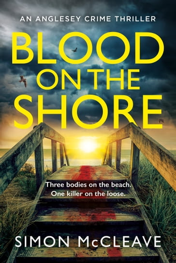 Blood on the Shore (The Anglesey Series, Book 3) - Simon McCleave