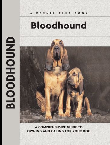 Bloodhound - Nona Kilgore Bauer