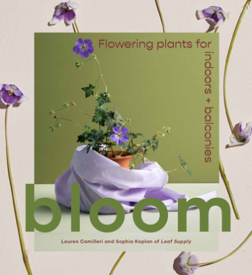 Bloom - Lauren Camilleri - Sophia Kaplan