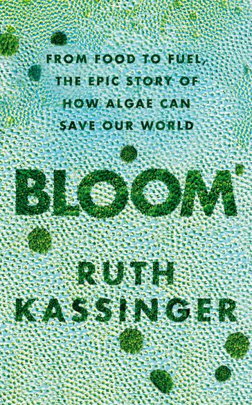 Bloom - Ruth Kassinger