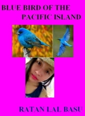 Blue Bird of the Pacific Island
